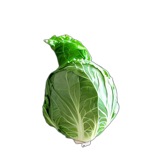 bottle, food, crown, weapon transparent PNG cut-out