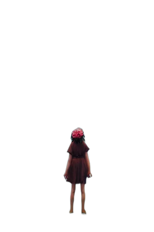 dress, hat, creature, robot transparent PNG cut-out