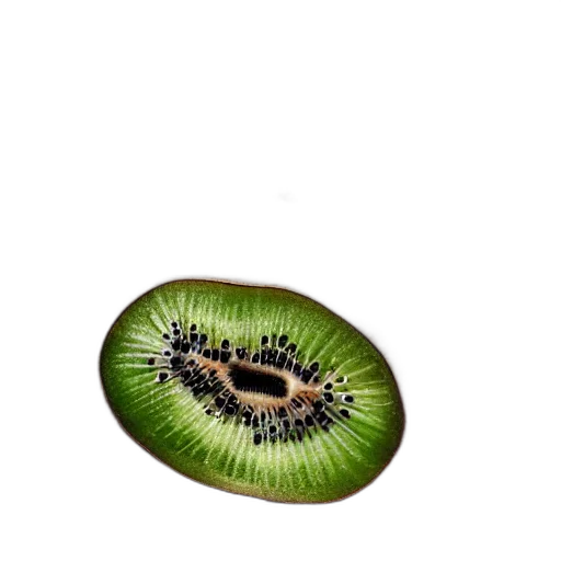 animal, food, hair, creature transparent PNG cut-out