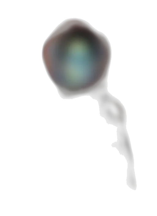weapon, staff, bottle, face transparent PNG cut-out