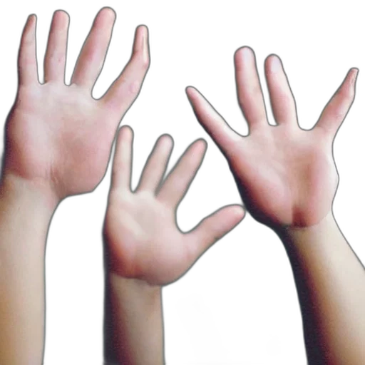 3d render, photorealistic, five, fingers transparent PNG cut-out