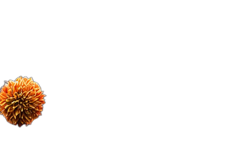 food, hair, crown, flower transparent PNG cut-out