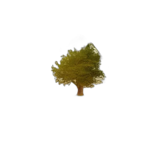 tree, hair, crown, hat transparent PNG cut-out