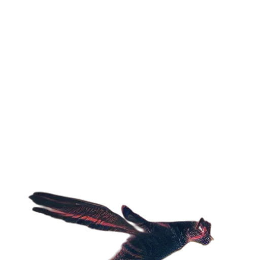 animal, dragon, creature, staff transparent PNG cut-out
