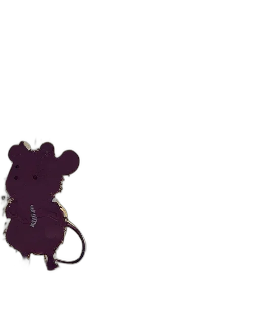 animal, crown, hat, hair transparent PNG cut-out