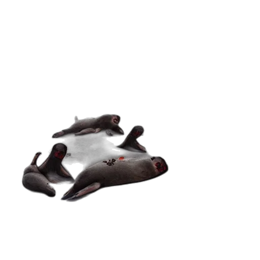 shoes, robot, weapon, creature transparent PNG cut-out