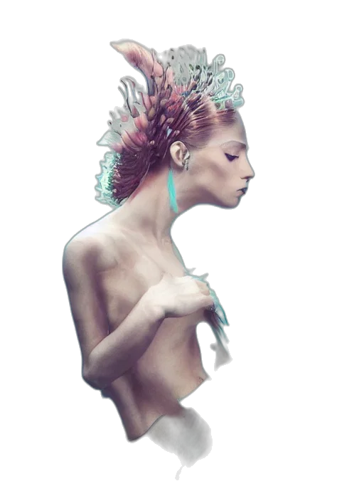 crown, jewelry, hair, dress transparent PNG cut-out