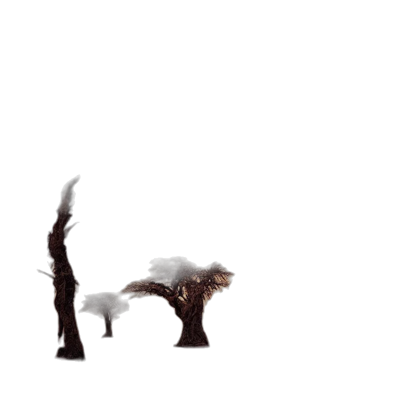 creature, animal, dragon, hair transparent PNG cut-out