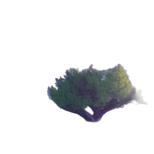 tree, crown, hair, creature transparent PNG cut-out