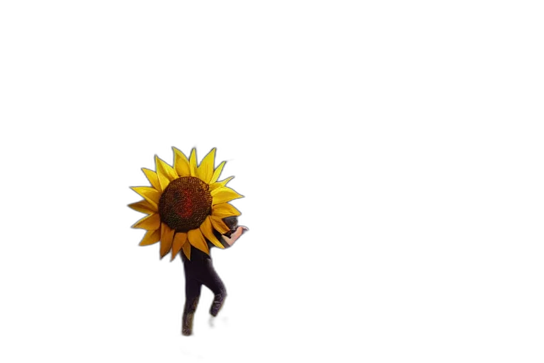 flower, umbrella, staff, crown transparent PNG cut-out