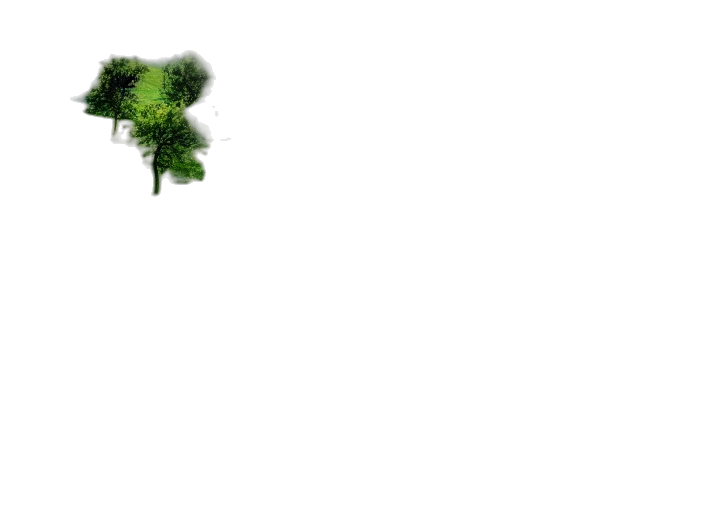 tree, animal, hair, creature transparent PNG cut-out