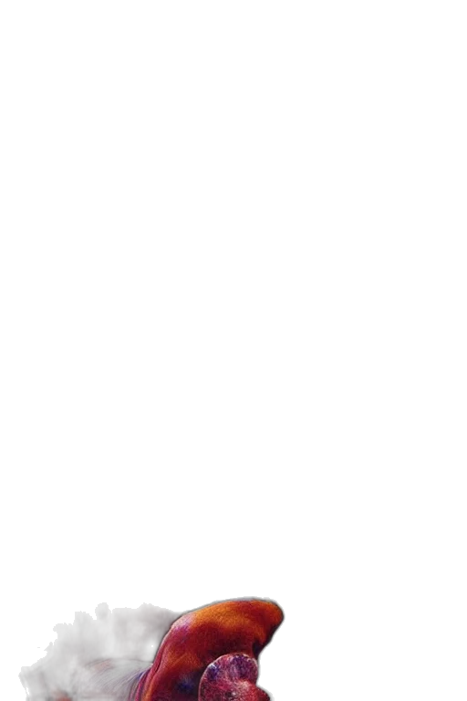 staff, face, monochrome, pastel transparent PNG cut-out