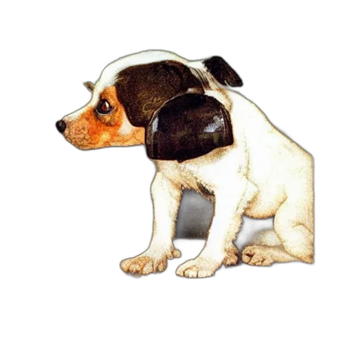 animal, staff, creature, face transparent PNG cut-out