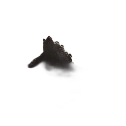 crown, hair, hat, shoes transparent PNG cut-out