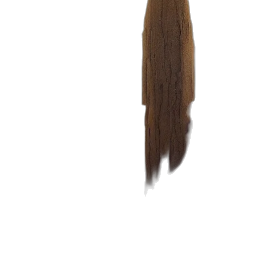hair, staff, hat, dress transparent PNG cut-out