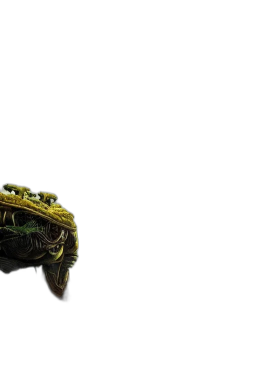 hat, dragon, crown, animal transparent PNG cut-out