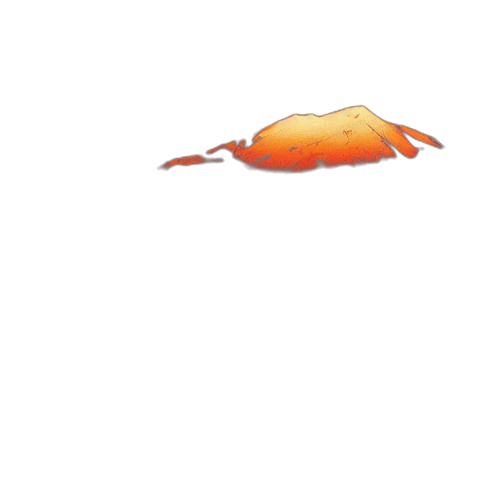 animal, hat, creature, food transparent PNG cut-out