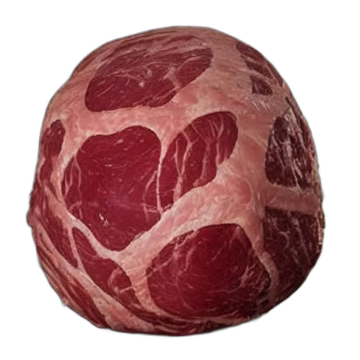 food, animal, face, jacket transparent PNG cut-out