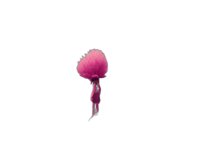 umbrella, flower, hair, hat transparent PNG cut-out