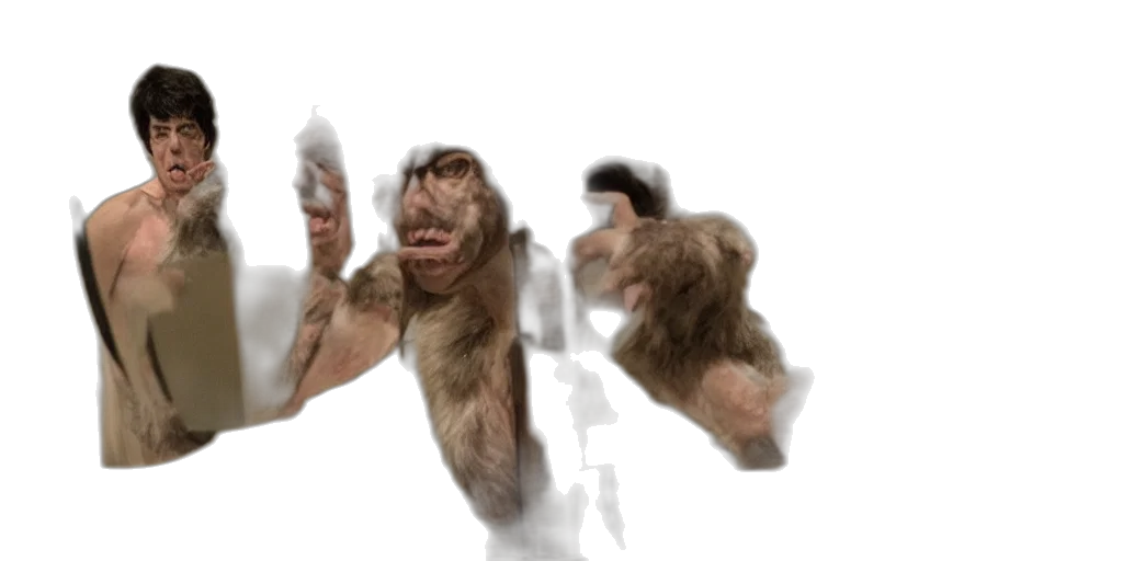 creature, animal, hair, staff transparent PNG cut-out
