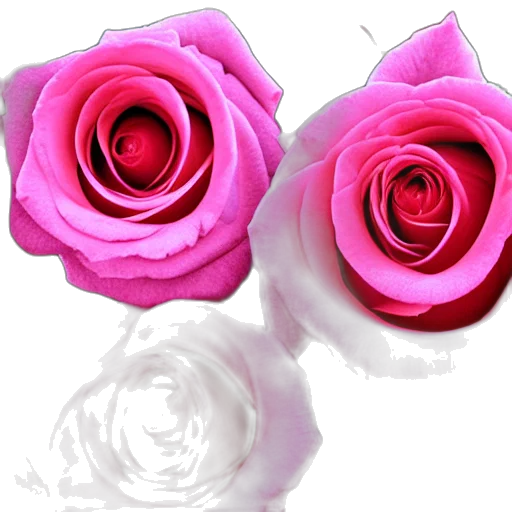 flower, jewelry, crown, staff transparent PNG cut-out