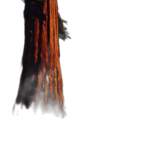tree, creature, hair, staff transparent PNG cut-out