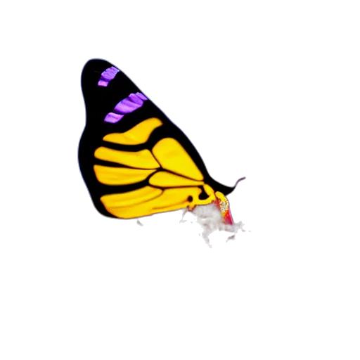 animal, flower, creature, jewelry transparent PNG cut-out