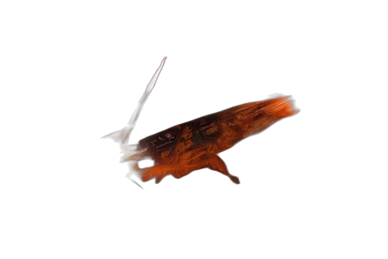 dragon, animal, weapon, staff transparent PNG cut-out