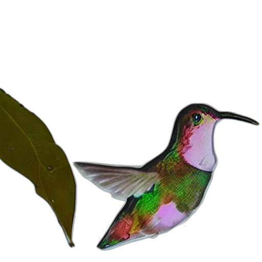 staff, animal, jewelry, weapon transparent PNG cut-out