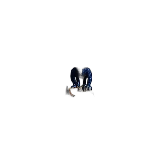 shoes, hair, animal, creature transparent PNG cut-out