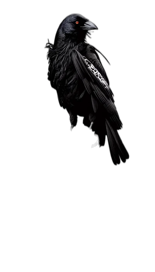 animal, staff, jacket, crown transparent PNG cut-out