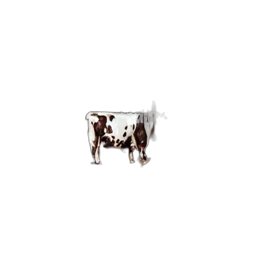 animal, robot, weapon, car transparent PNG cut-out