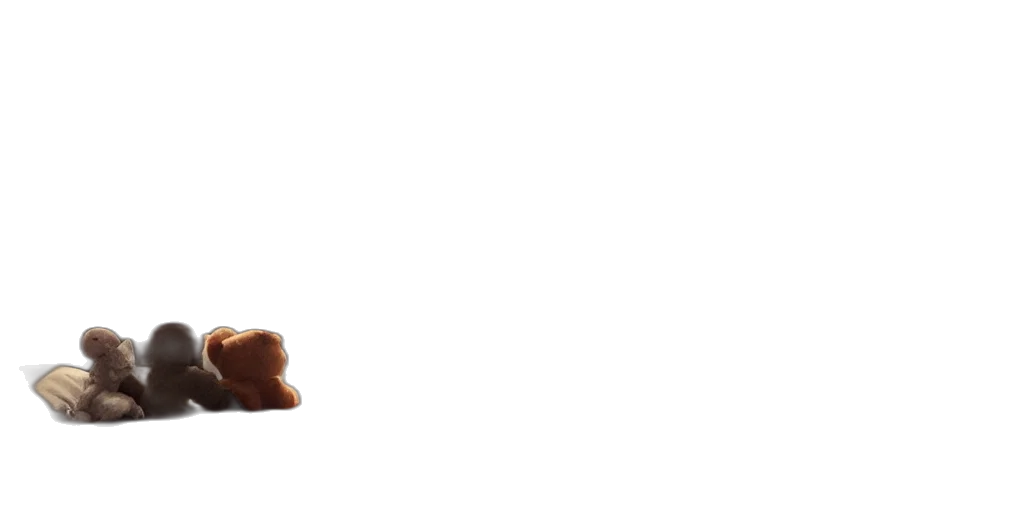 food, furniture, staff, shoes transparent PNG cut-out