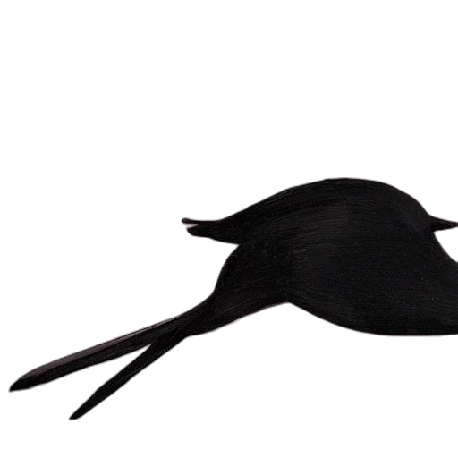 hat, umbrella, mask, animal transparent PNG cut-out