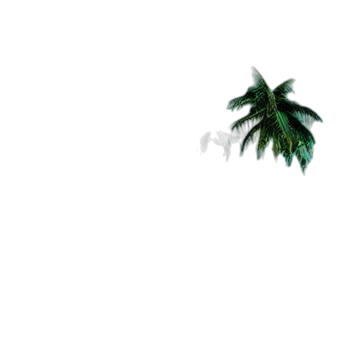 tree, flower, umbrella, creature transparent PNG cut-out