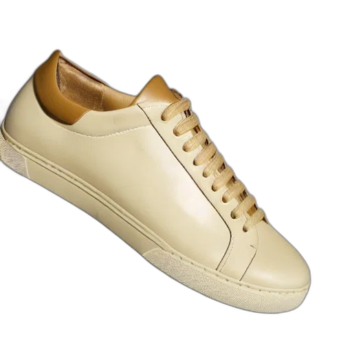shoes, sneaker, made, swiss transparent PNG cut-out