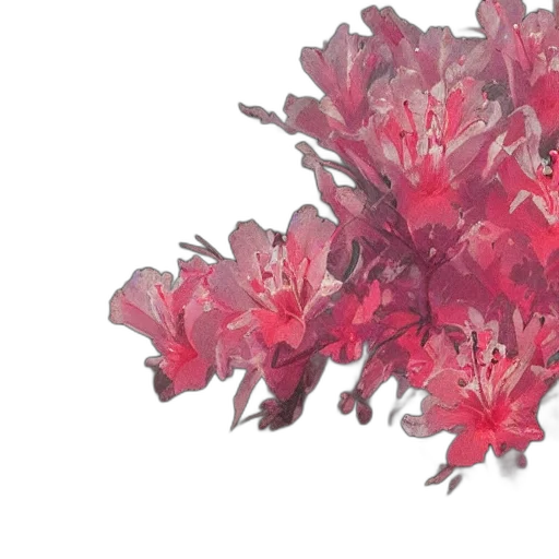 flower, crown, hair, jewelry transparent PNG cut-out