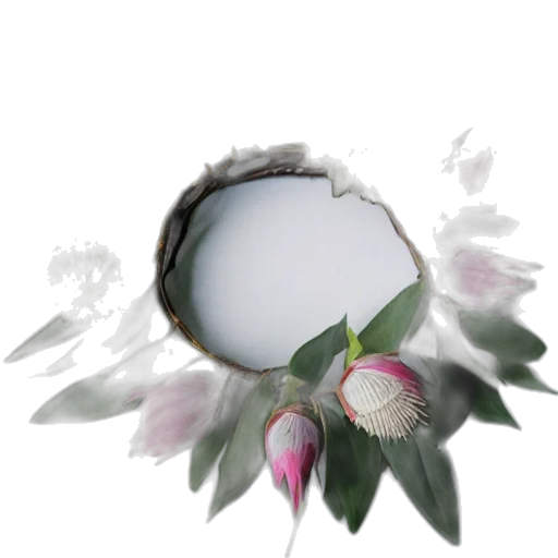 flower, crown, jewelry, hat transparent PNG cut-out