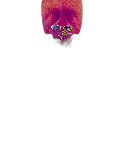 mask, creature, animal, face transparent PNG cut-out