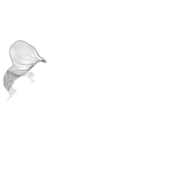 animal, flower, hat, weapon transparent PNG cut-out