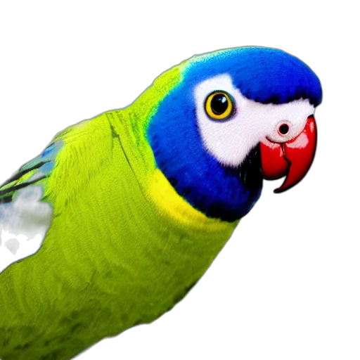 animal, jewelry, creature, staff transparent PNG cut-out