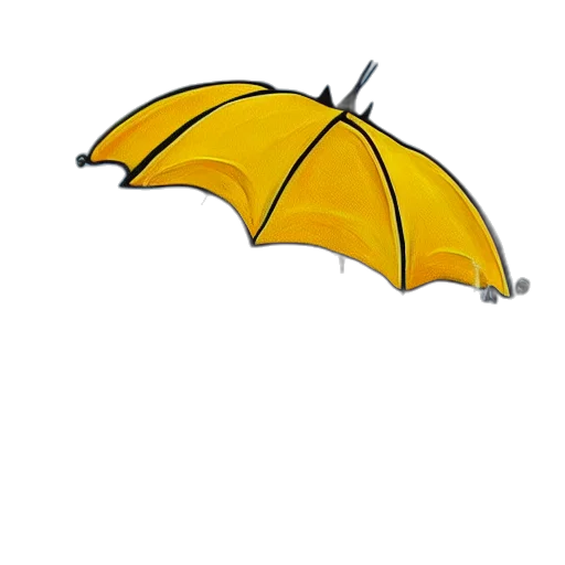 umbrella, staff, hat, jacket transparent PNG cut-out
