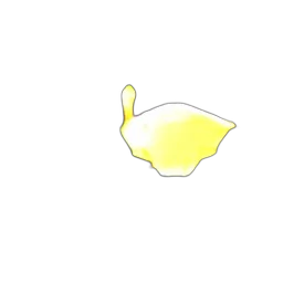 hat, crown, food, mask transparent PNG cut-out