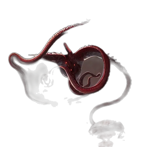 dragon, creature, animal, hair transparent PNG cut-out
