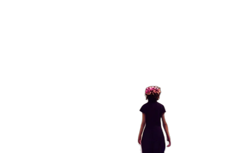 dress, crown, hat, creature transparent PNG cut-out