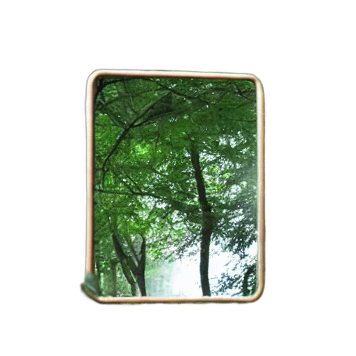 tree, jewelry, furniture, photorealistic transparent PNG cut-out