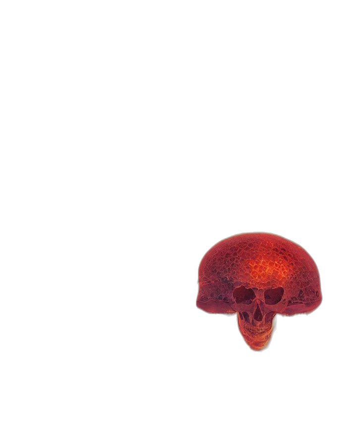 hat, hair, flower, crown transparent PNG cut-out