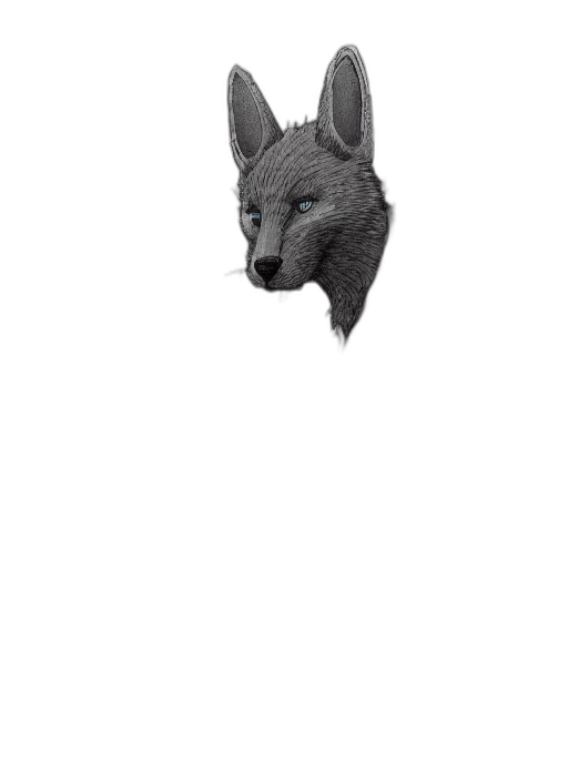 animal, dragon, creature, mask transparent PNG cut-out