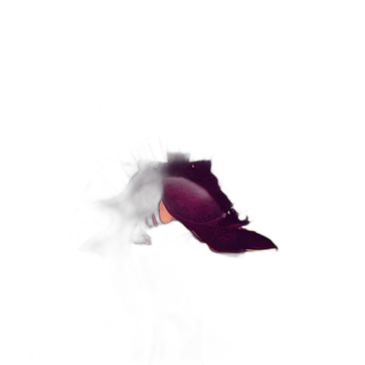 shoes, hat, dragon, weapon transparent PNG cut-out