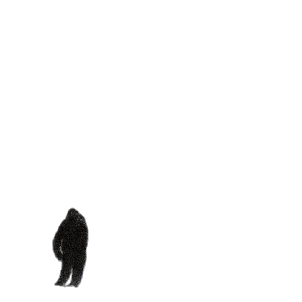 creature, animal, mask, dress transparent PNG cut-out